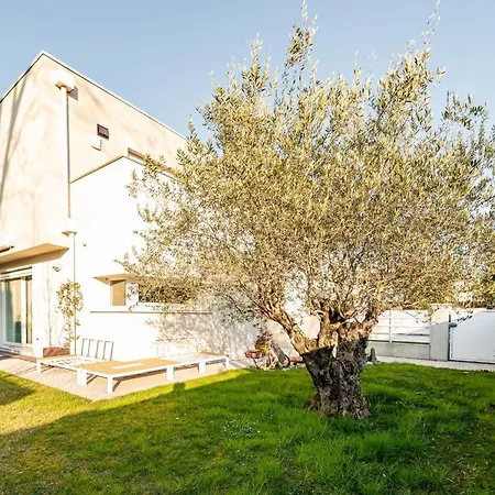 Con Giardino Tra Padova E Riviera Del Brenta * Camin